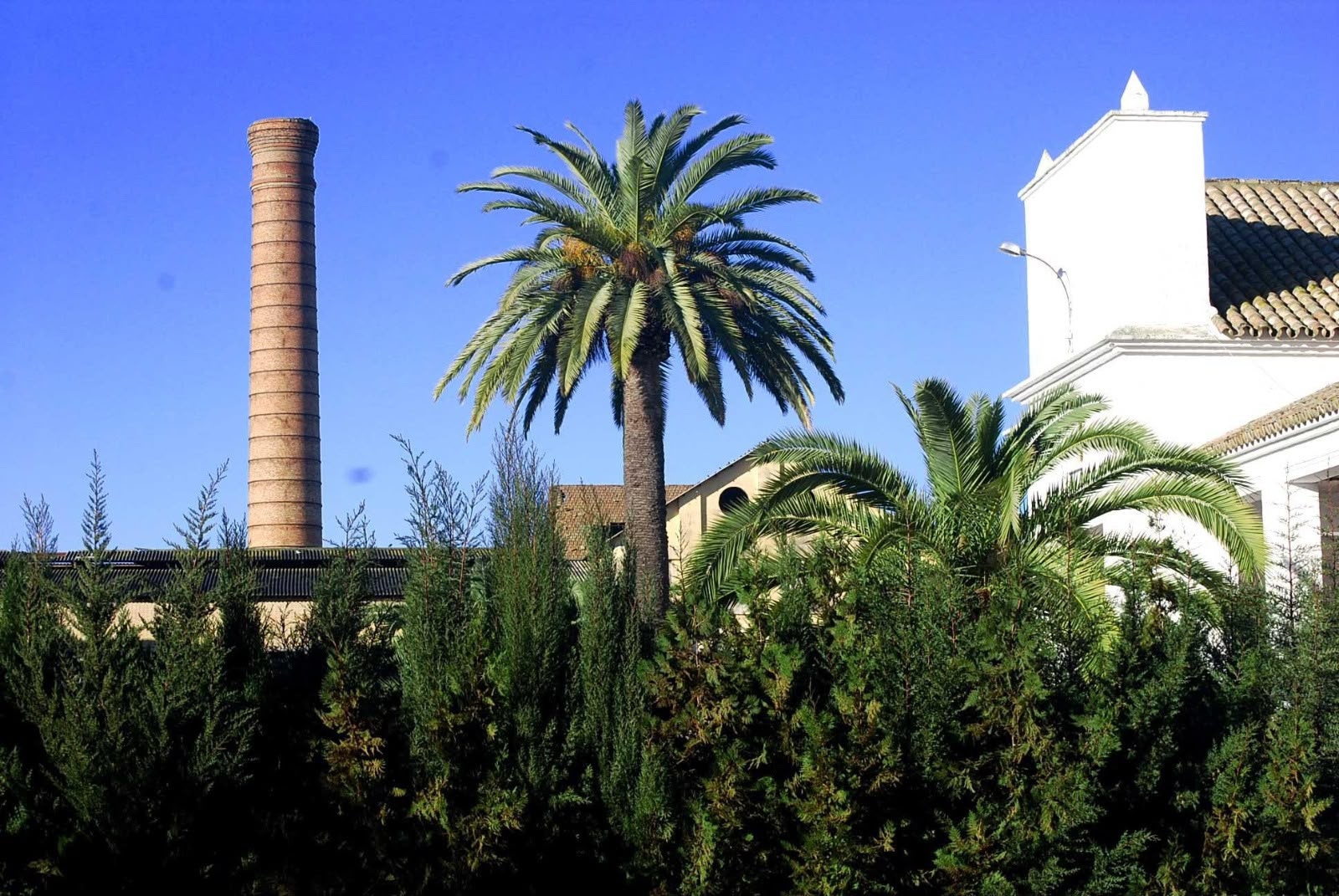 azucarera chimena