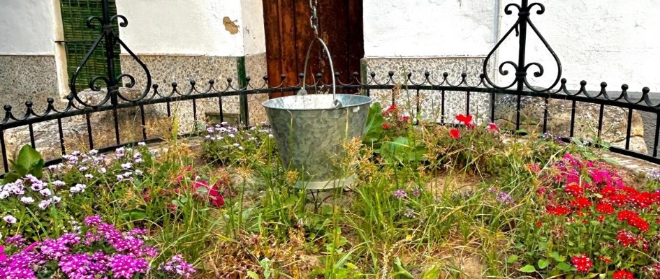 Manantial de primavera