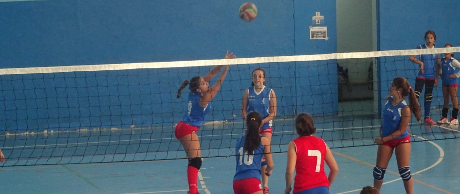 voley16.jpg_1096958278