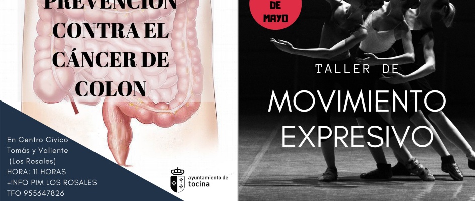 COMBINACIÓN DOS CARTELES 15 MAYO