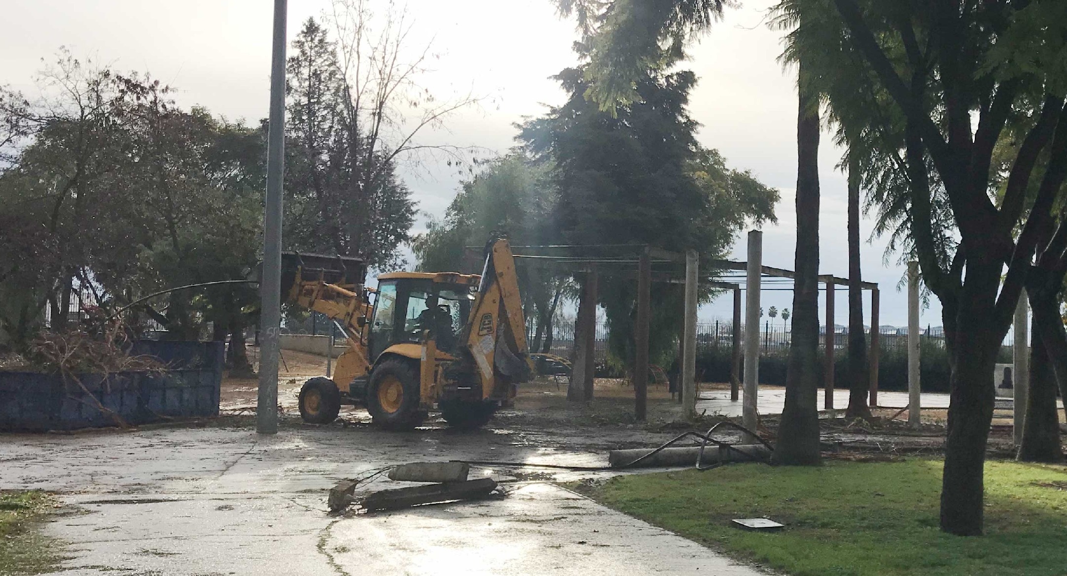 CelestinoMutis_ENERO