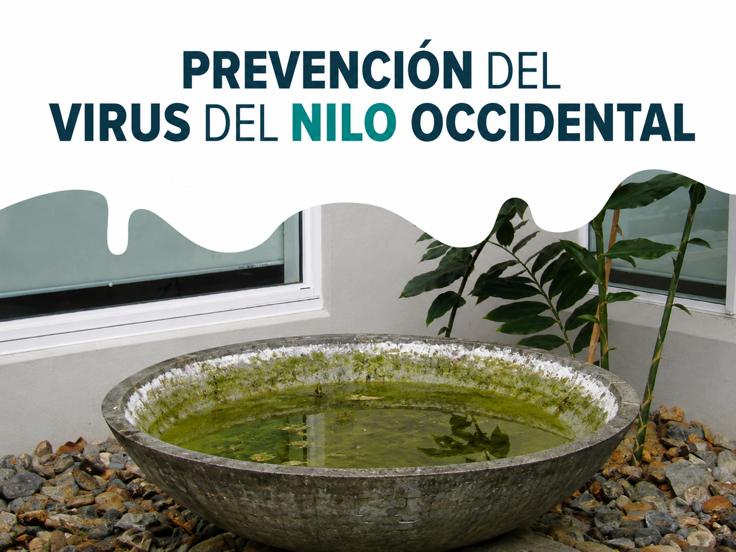 virus nilo