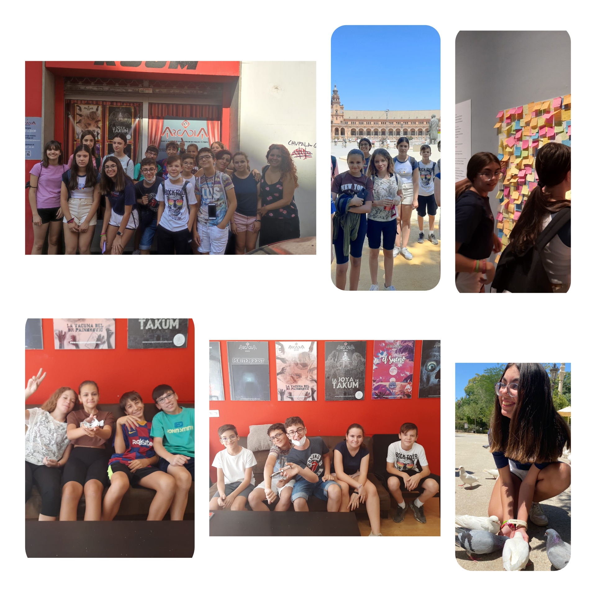 InShot_20220701_104811675