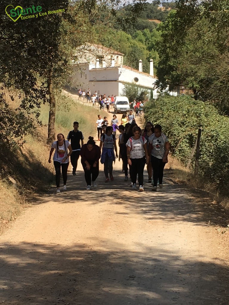 monitor de tiempo libre