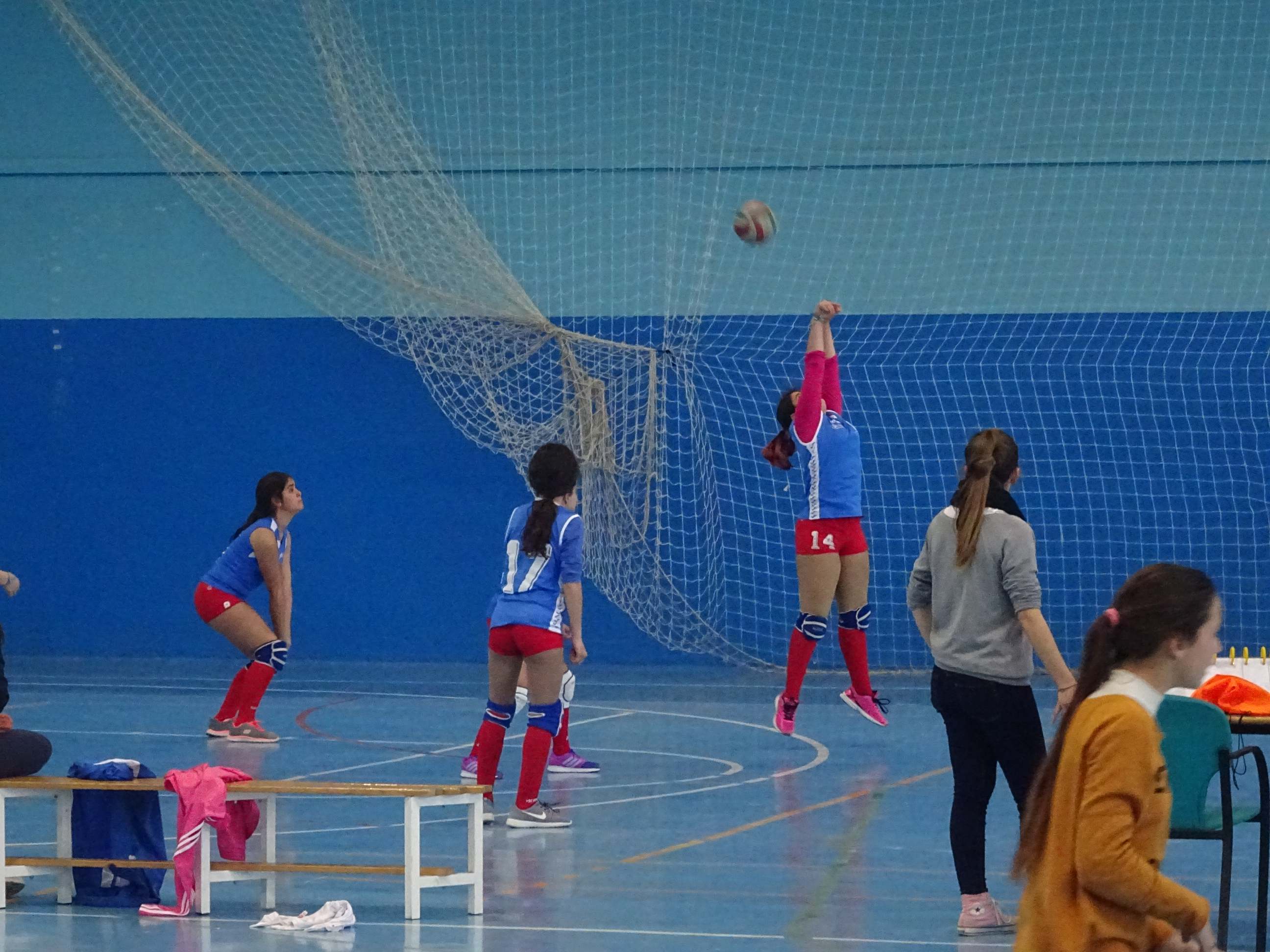 diadelVoley.jpg