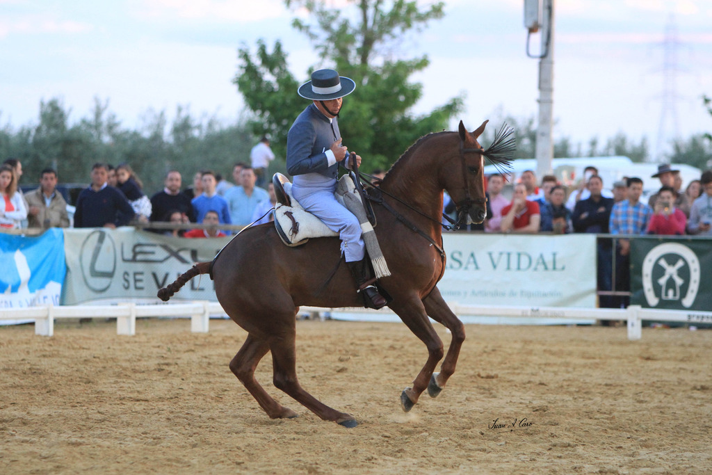 2014_04_26_Clausura_020