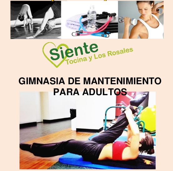 gimnasia de mantenimiento