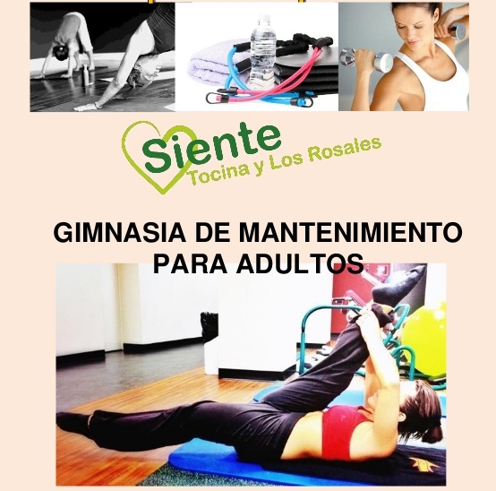 gimnasia de mantenimiento