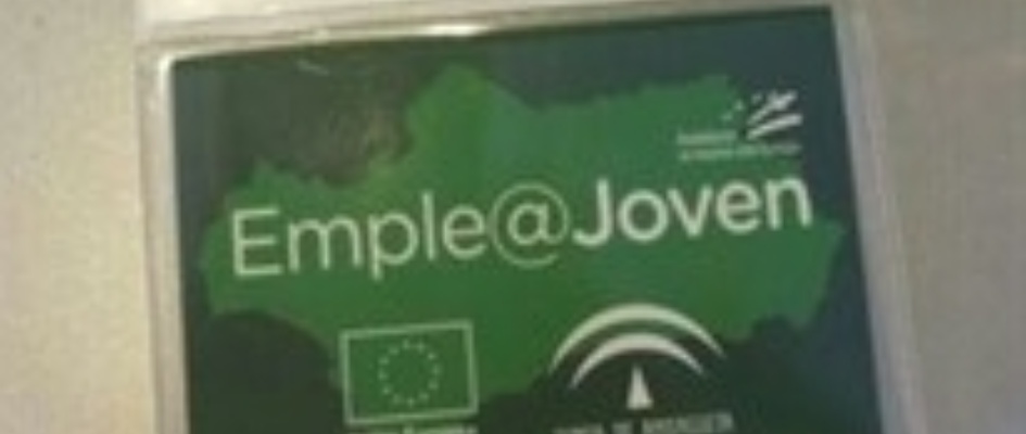 logoempleajoven25.jpg