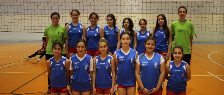 voley20152016.jpg