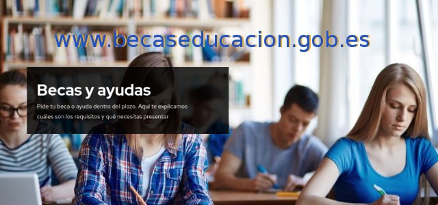 3-studying-in-college-ppzy52y