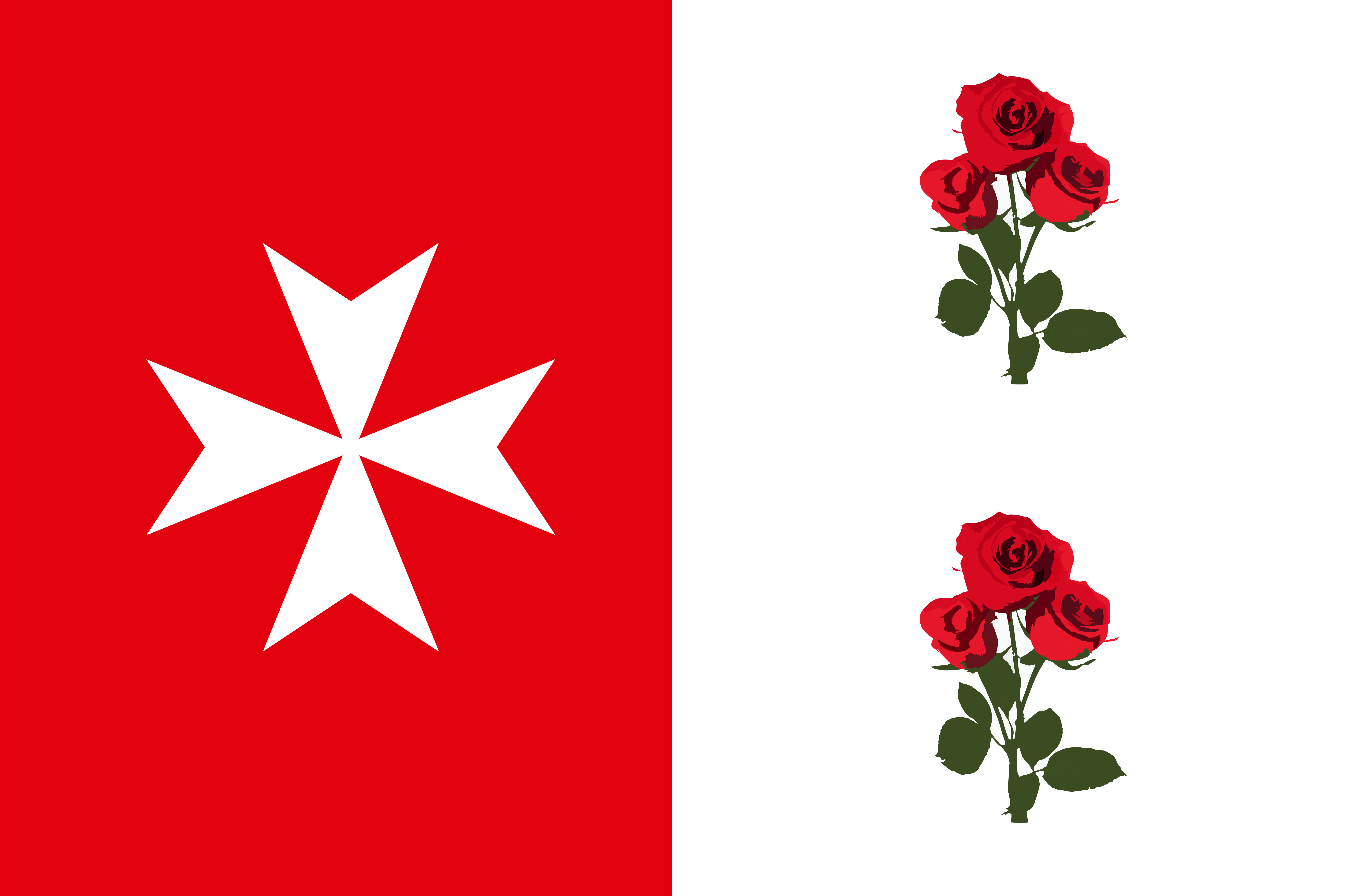 BANDERA TOCINA OFICIAL