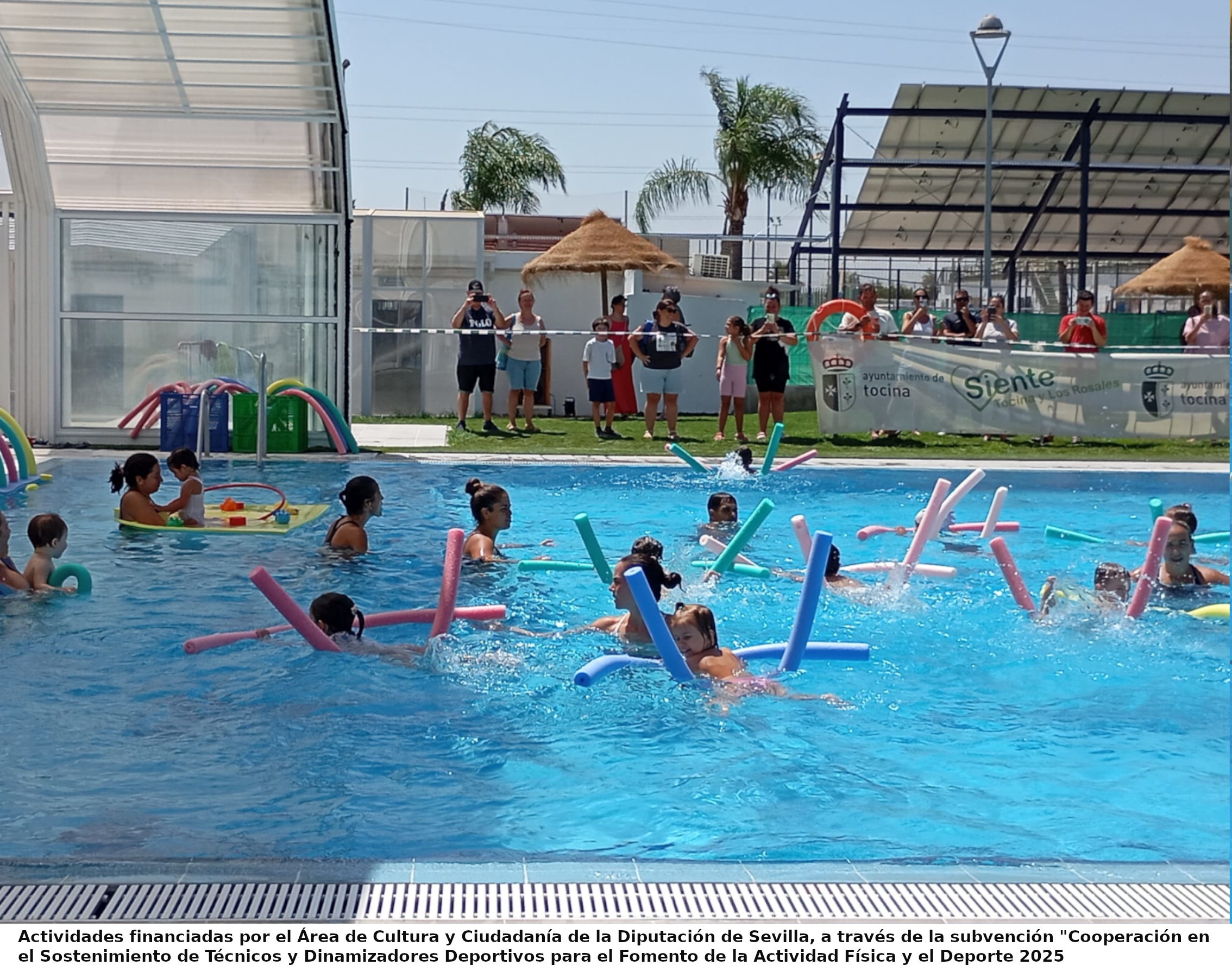 CLAUSURA NATACION-VERANO-2025_mod