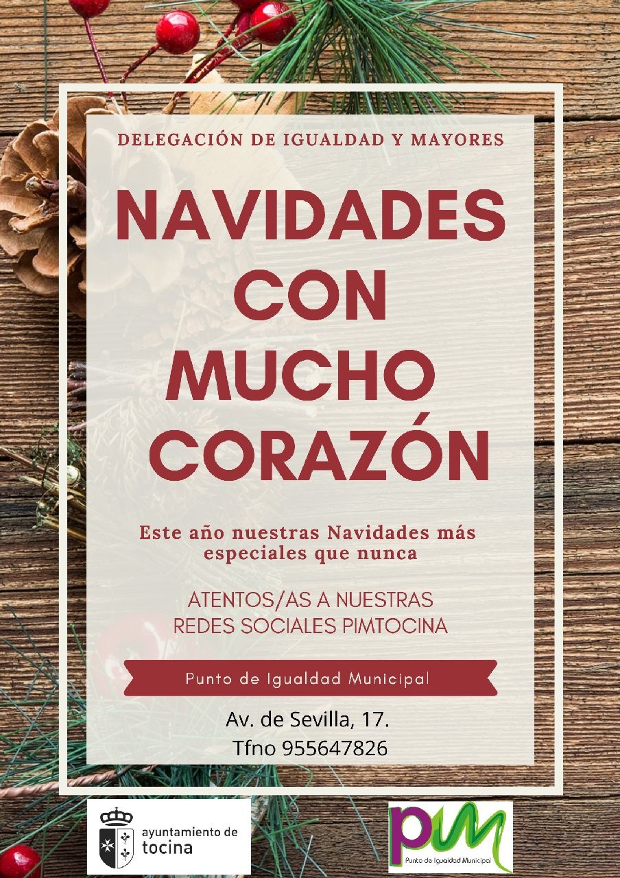Cartel Navidad (1)
