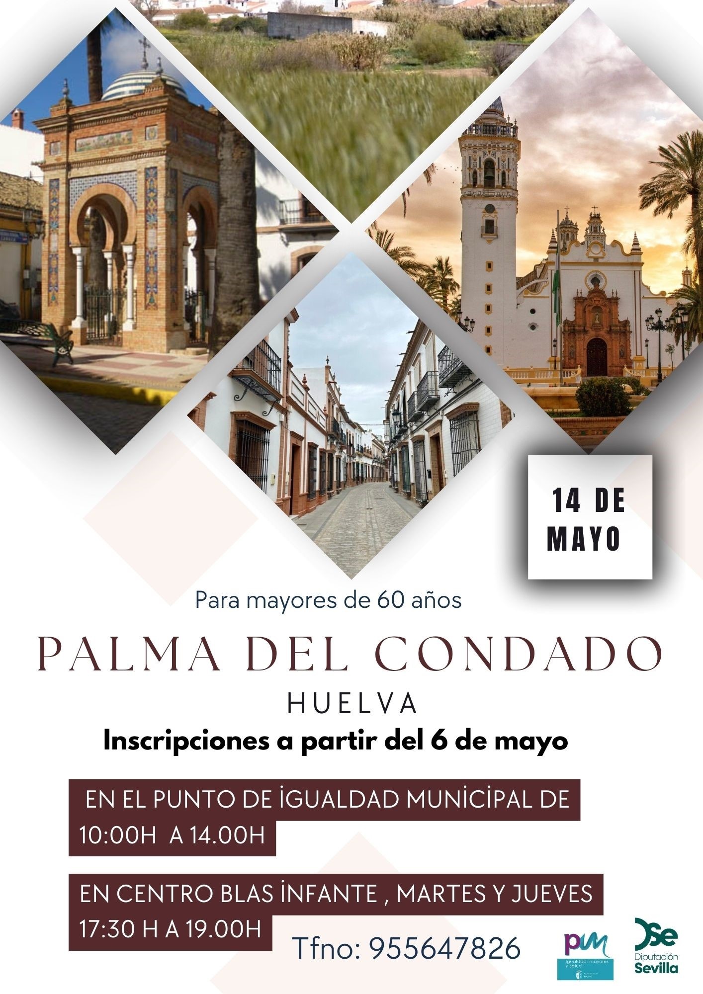 Cartel Viaje palma C.