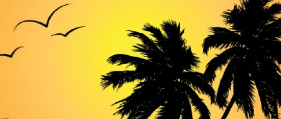 Cartel contando jorobas (definitivo)(1)d