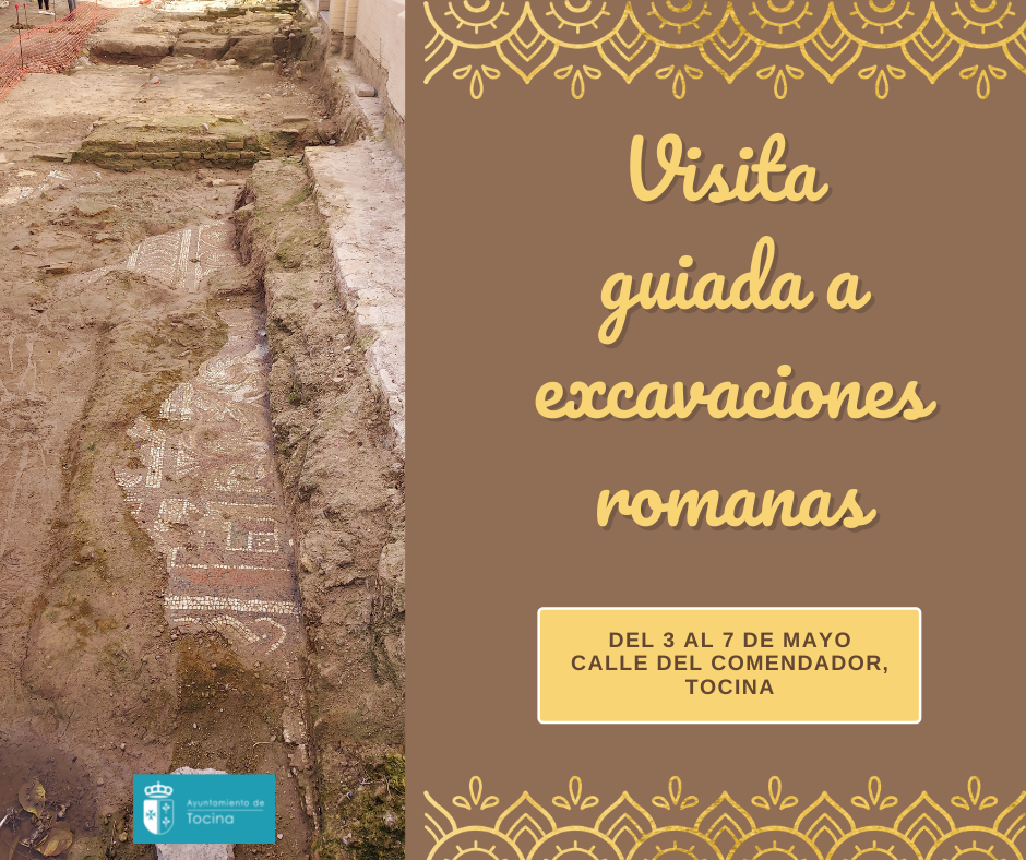 Visita guiada a excavaciones