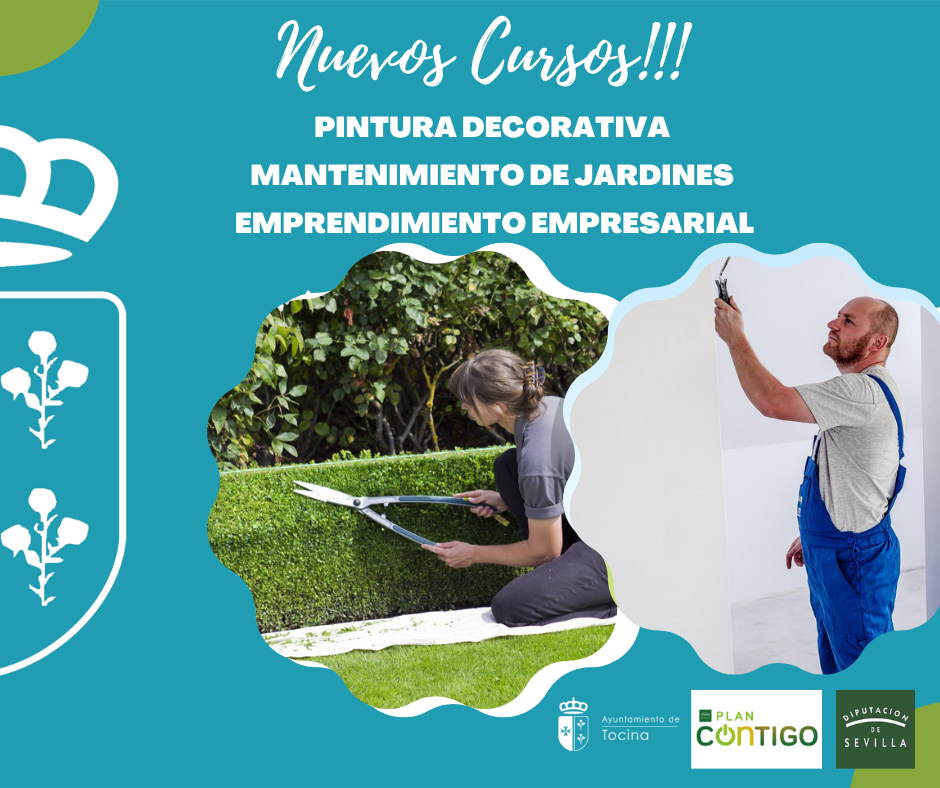 cartel plan contigo 2