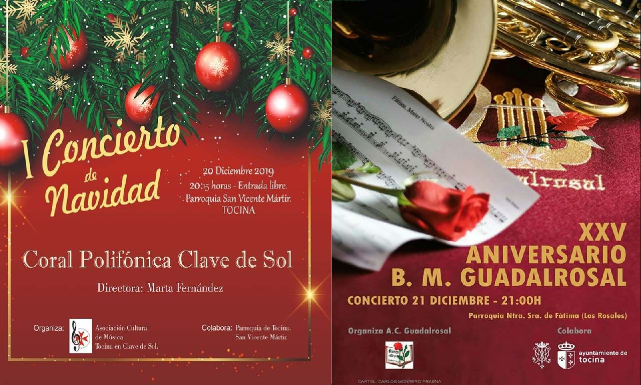 conciertos_navidad2019