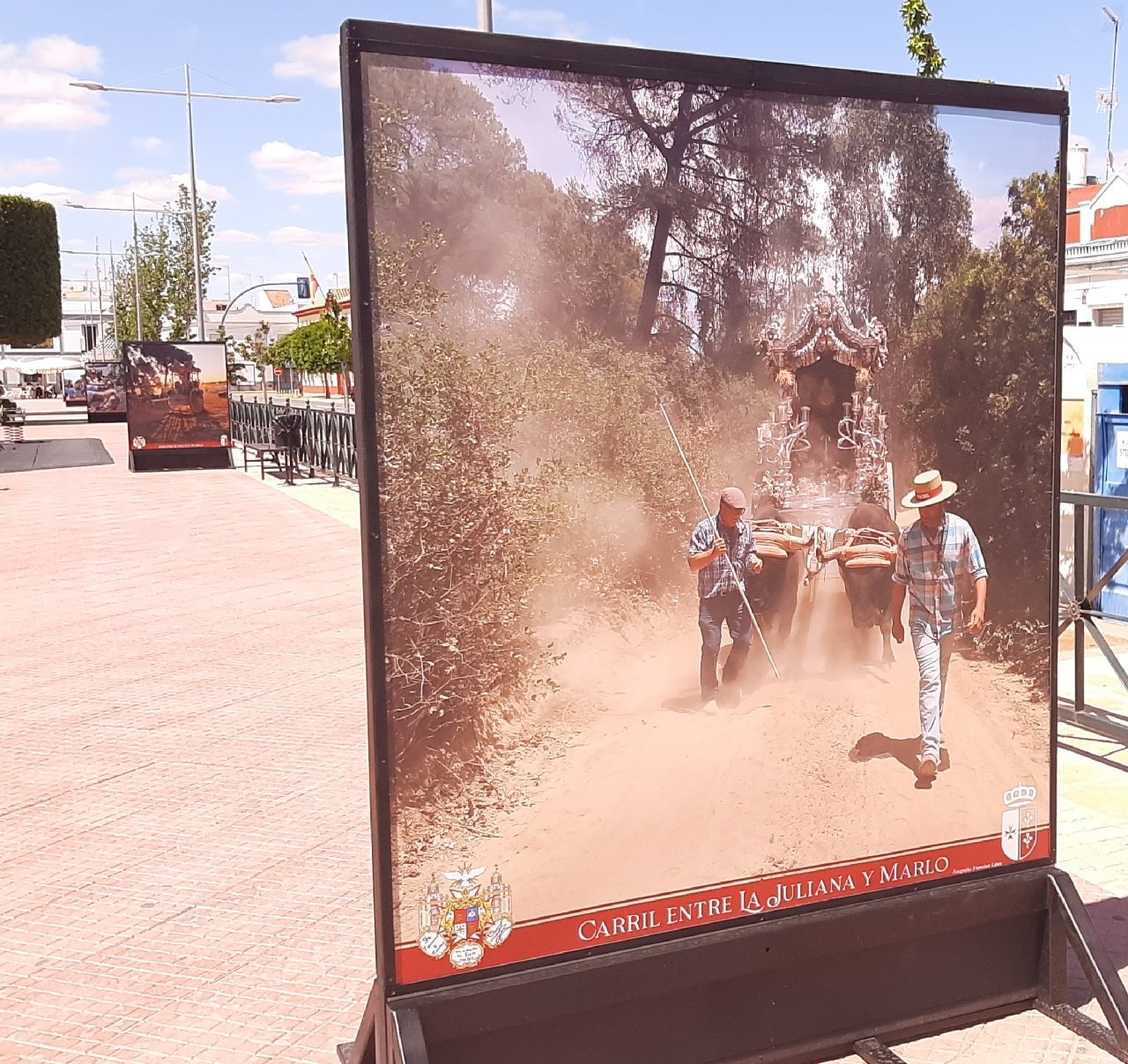 exposicion fotos rocio 21