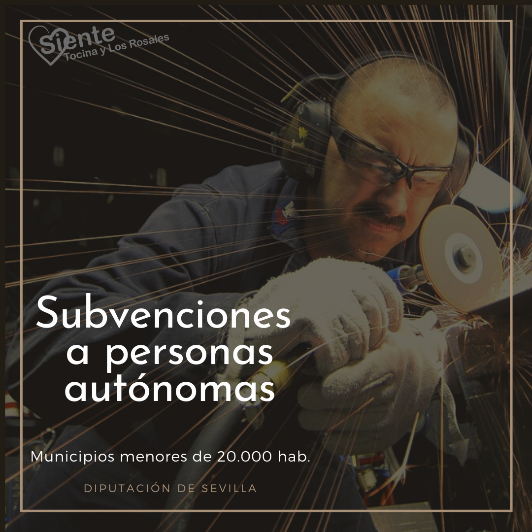 subvencion auotnomos diputacion
